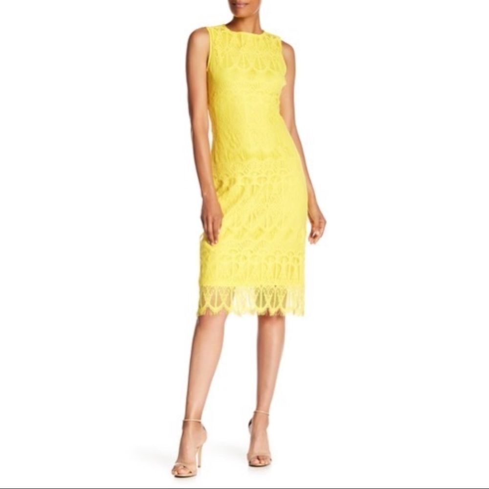 ✨ Sharagano - Sleeveless Lace Midi Dress✨